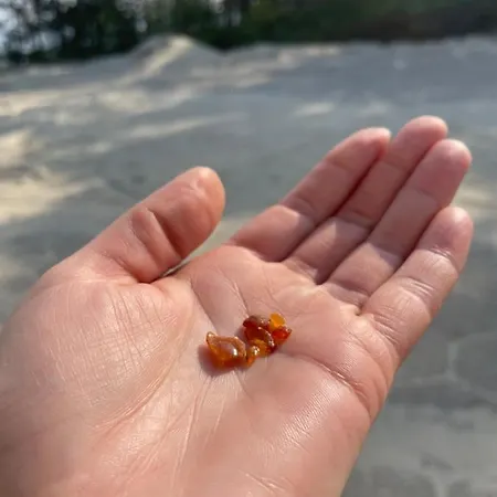 Проживание в семье Stacja Akacja