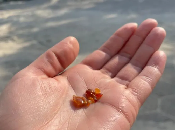 民宿 Stacja Akacja